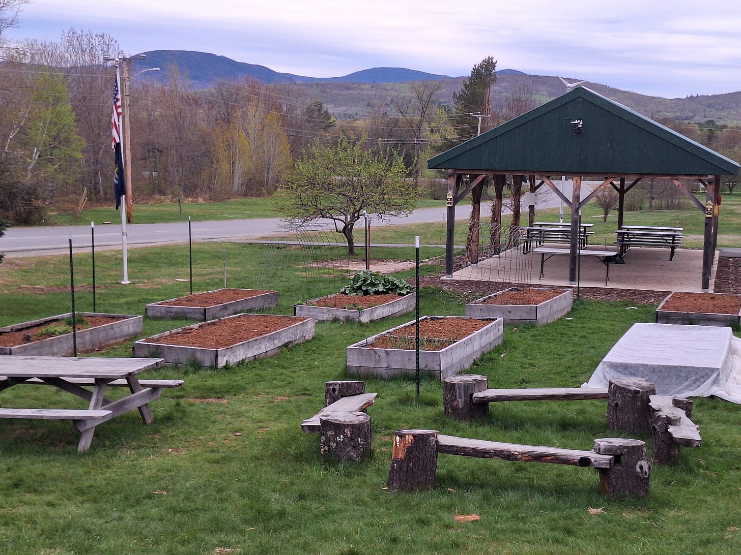 kingfield school garden