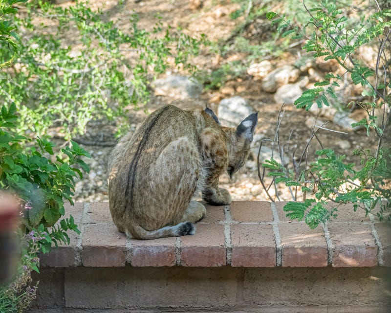 20260731-ElRio-180-Edit.jpg