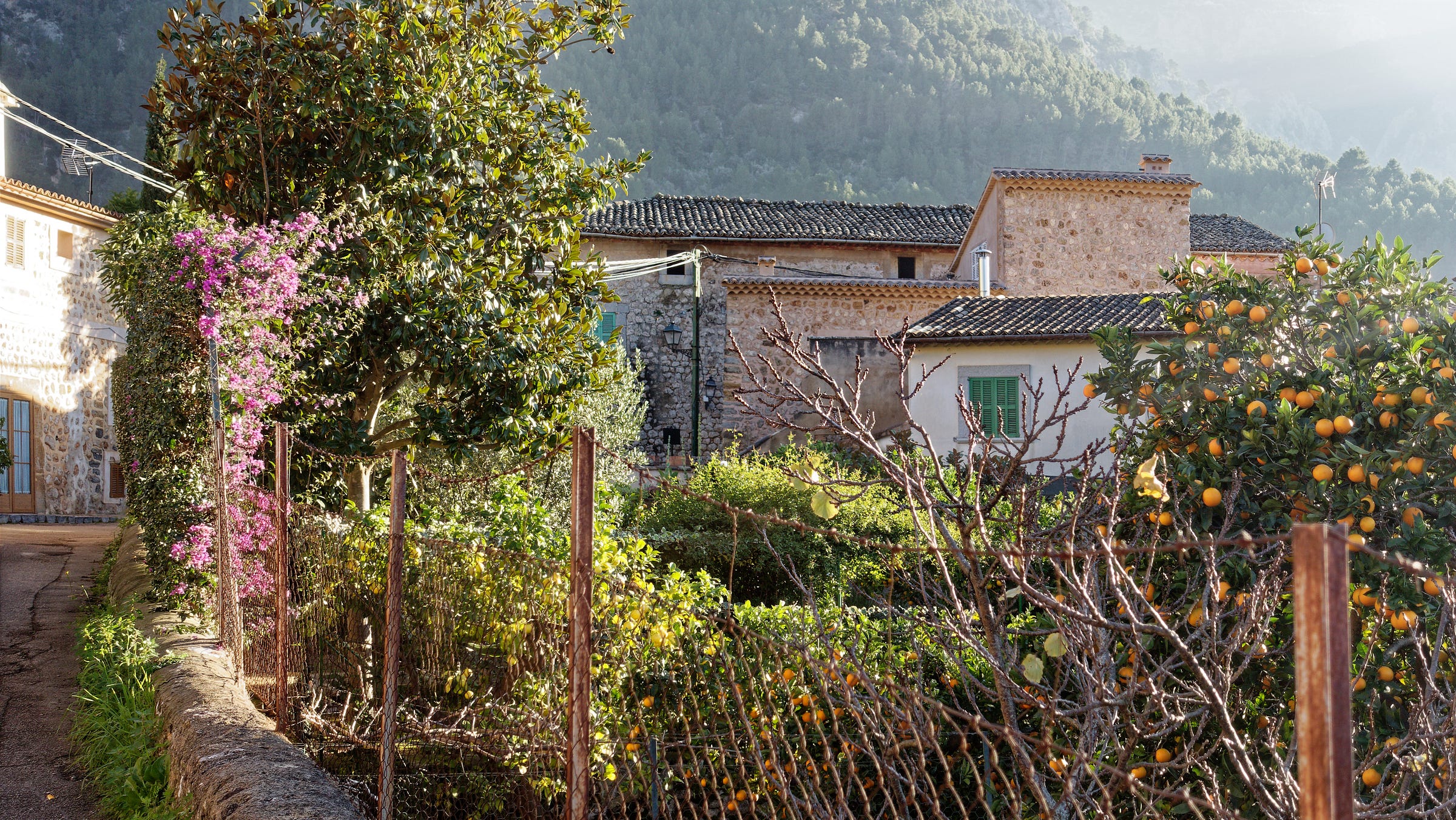 View of orange trees and bougainvillea surrounding a stone house on the outskirts of Fornalutx