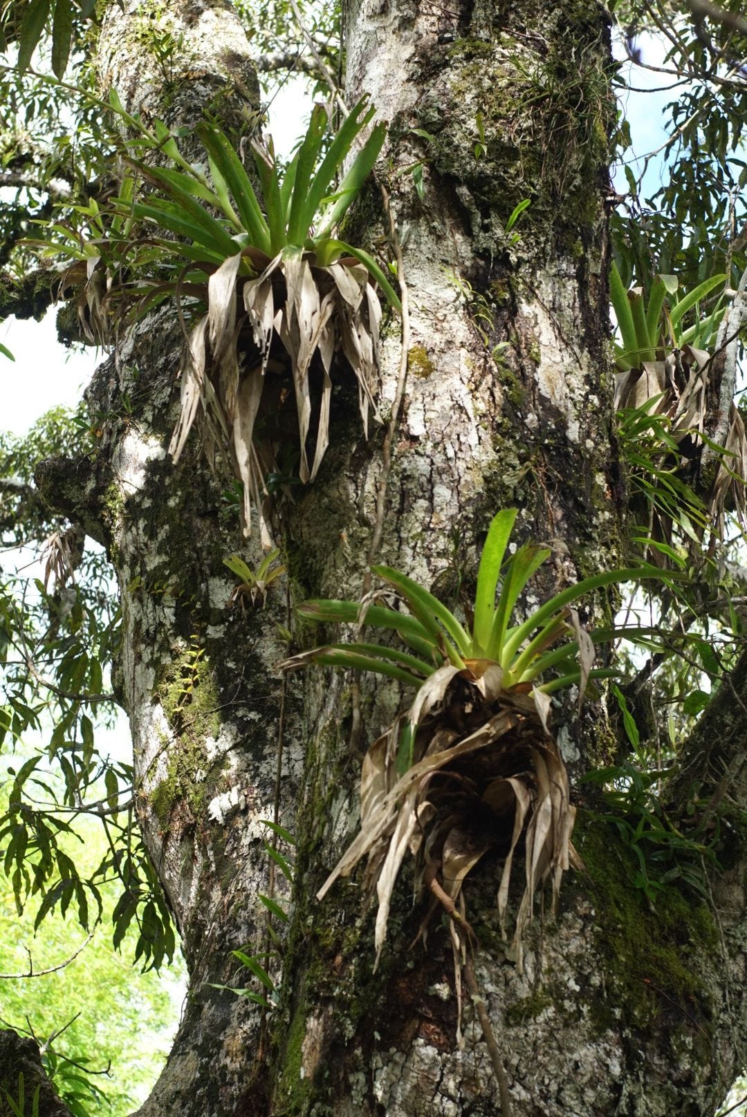 Sortir de la jungle Sortir de la jungle