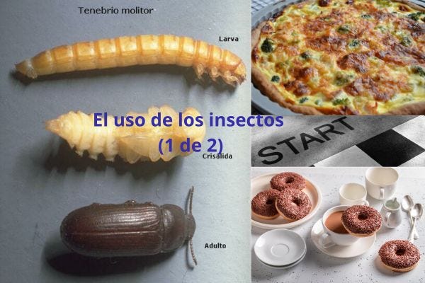 EL USO DE LOS INSECTOS (1 de 2)