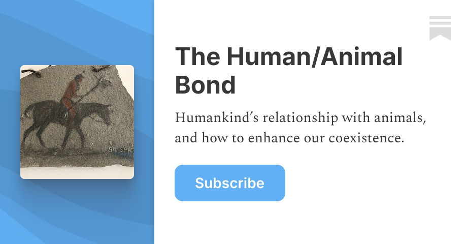 The Human/Animal Bond | Sid Gustafson | Substack