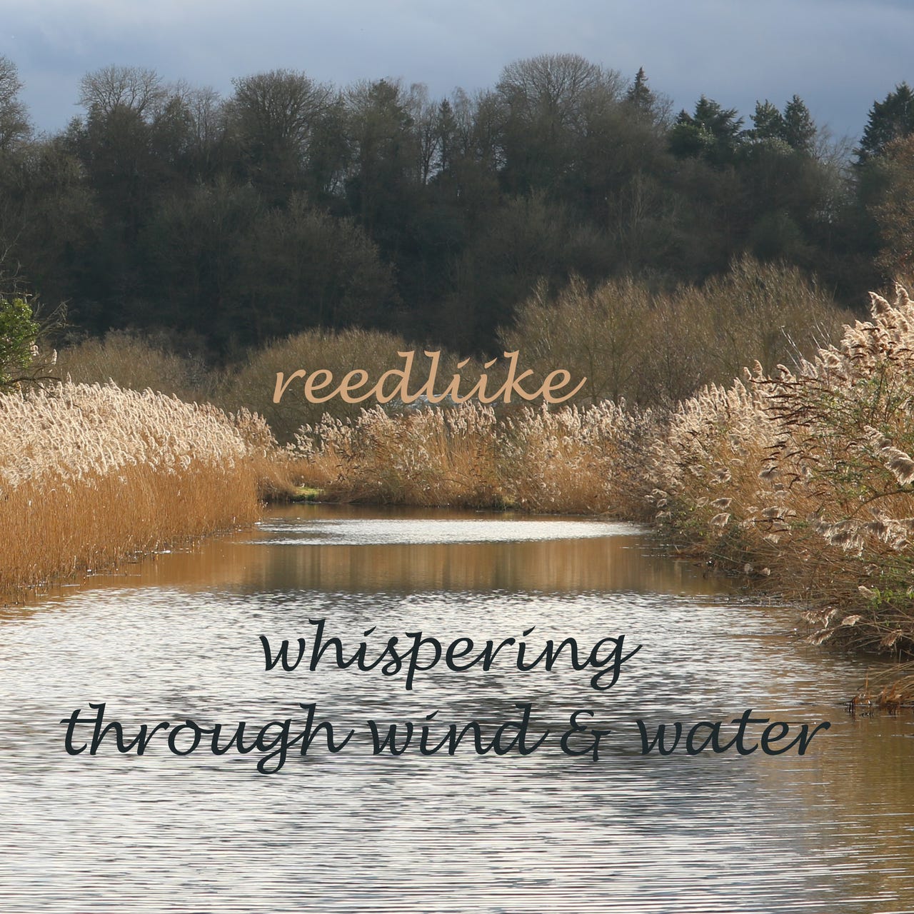 Sarah James/Leavesley