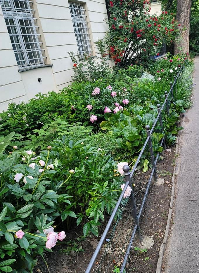 A path with a fence and plants

AI-generated content may be incorrect.
