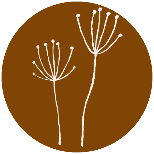 Soul & Society  logo