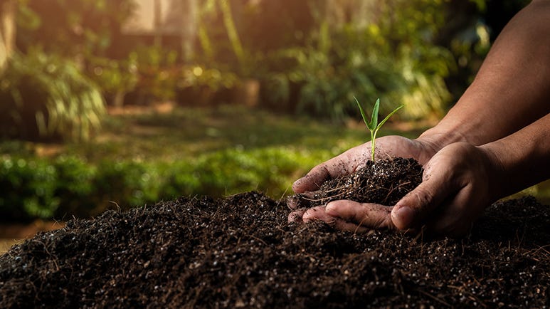 regenerative agriculture the next big thing