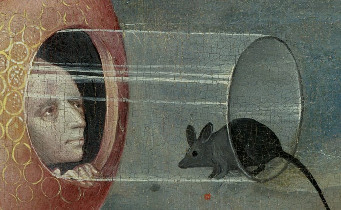 A human face peers down a very short tube at a large rodent. You would be describing the look on the face for a long time before it occurred to you to use the word 'delight'