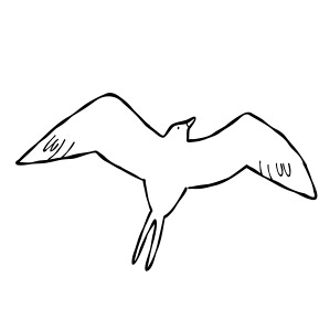 ☁︎ entre fragatas e andorinhas ☁︎