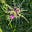 Elaine M Sammon's avatar
