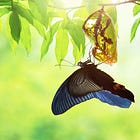 Unlocking the transformational power of Author Ecosystems