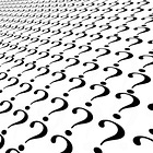 Asking the right data questions and asking the data questions right