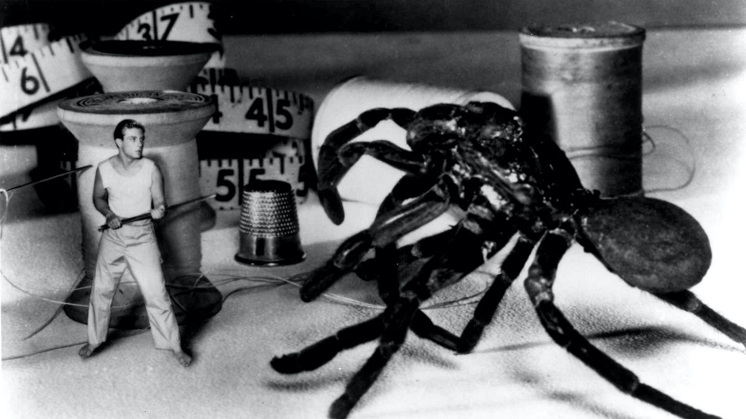 The Incredible Shrinking Man | Coolidge Corner Theater The Incredible Shrinking Man | Coolidge Corner Theater