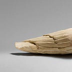 Anthropology.net