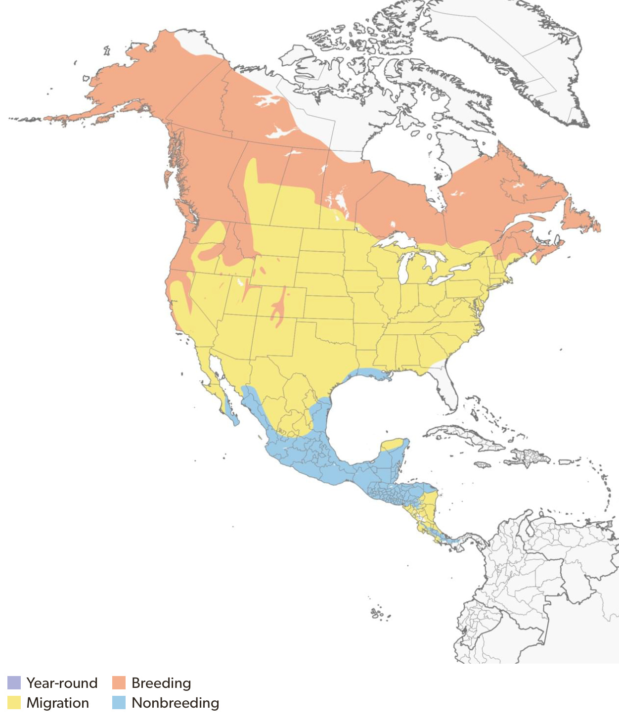 Screenshot 2025-03-27 at 8.10.56 PM.png