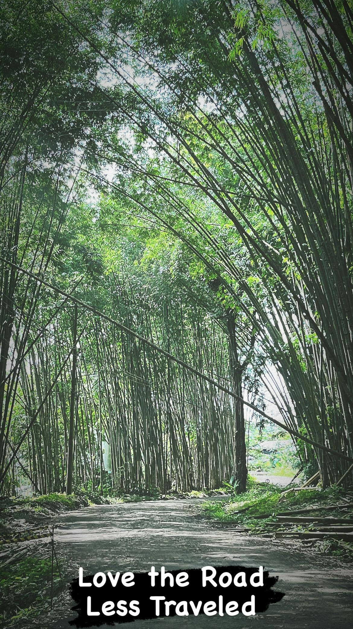 041: Choosing Life, Choosing You! 041: Choosing Life, Choosing You!