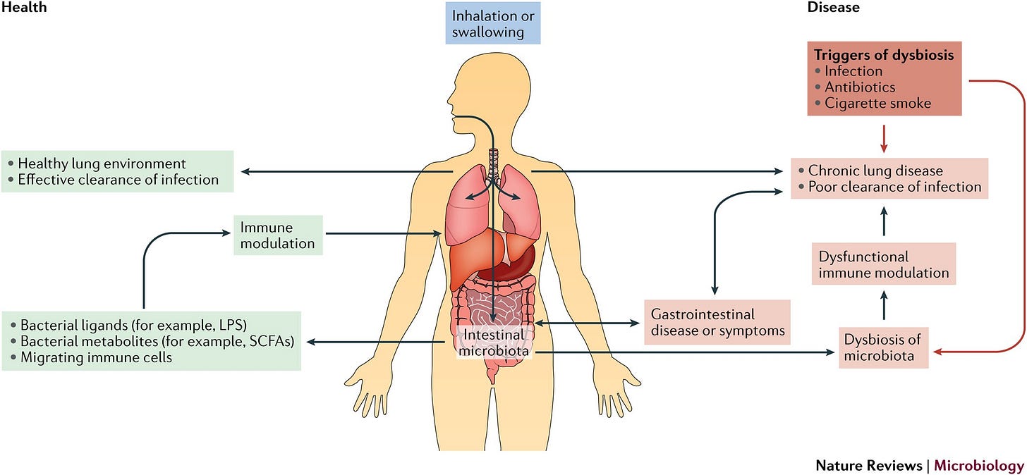 Figure 1: Principles of gut–lung crosstalk in health and disease.