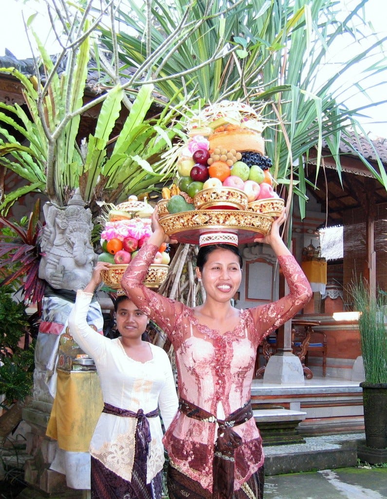 IMG_3909 IMG_3909