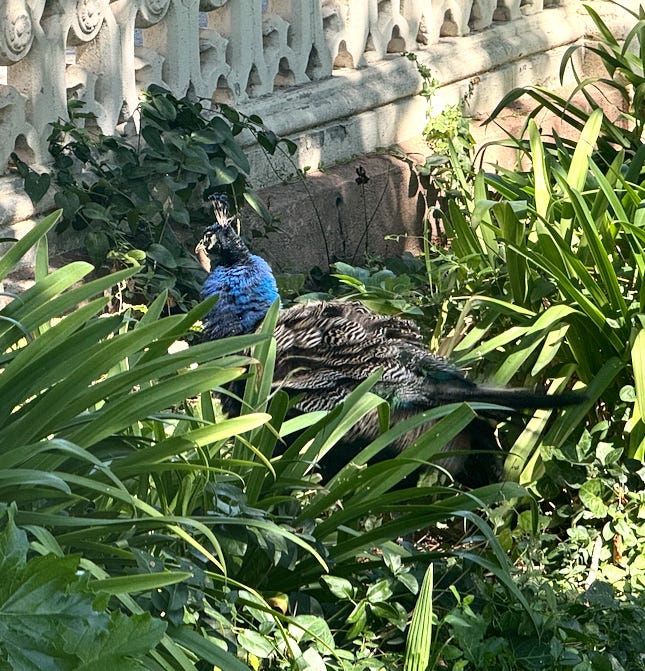 Capture d’écran 2026-03-15 à 17.03.22.png Capture d’écran 2026-03-15 à 17.03.22.png