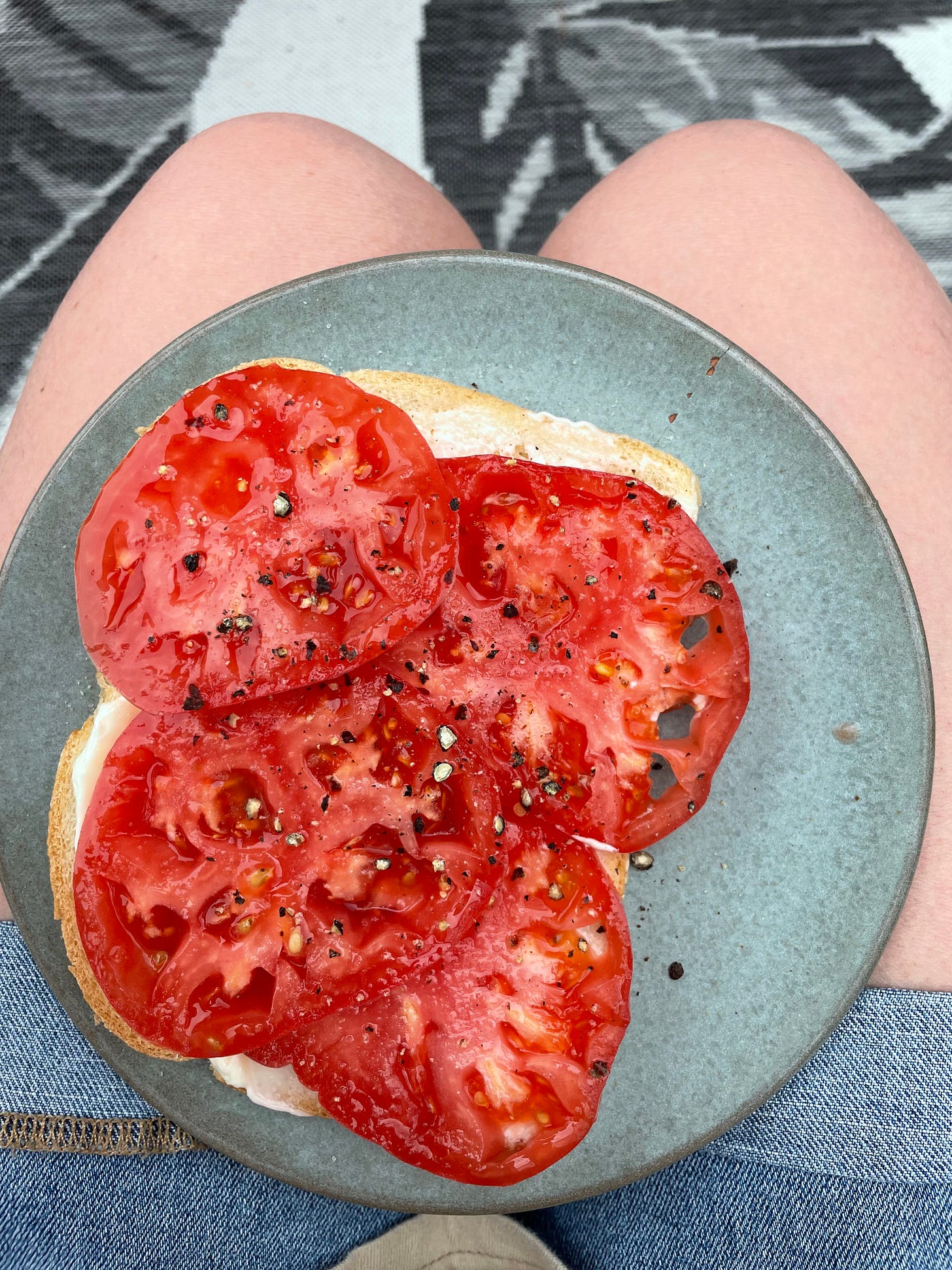 an image of a tomato sandwhich on a blue plate