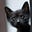 Addo's avatar