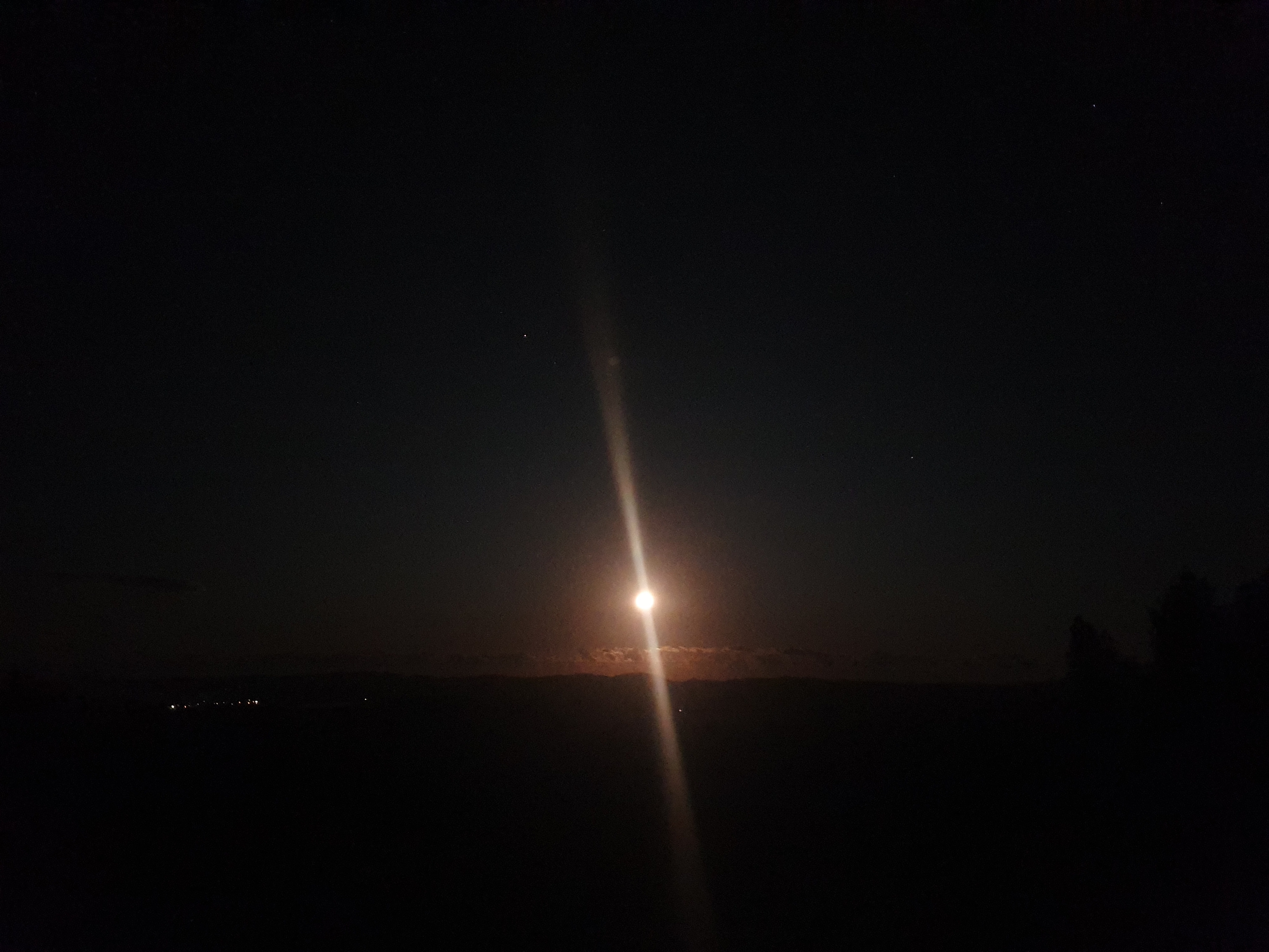 The House of Roots & Stars