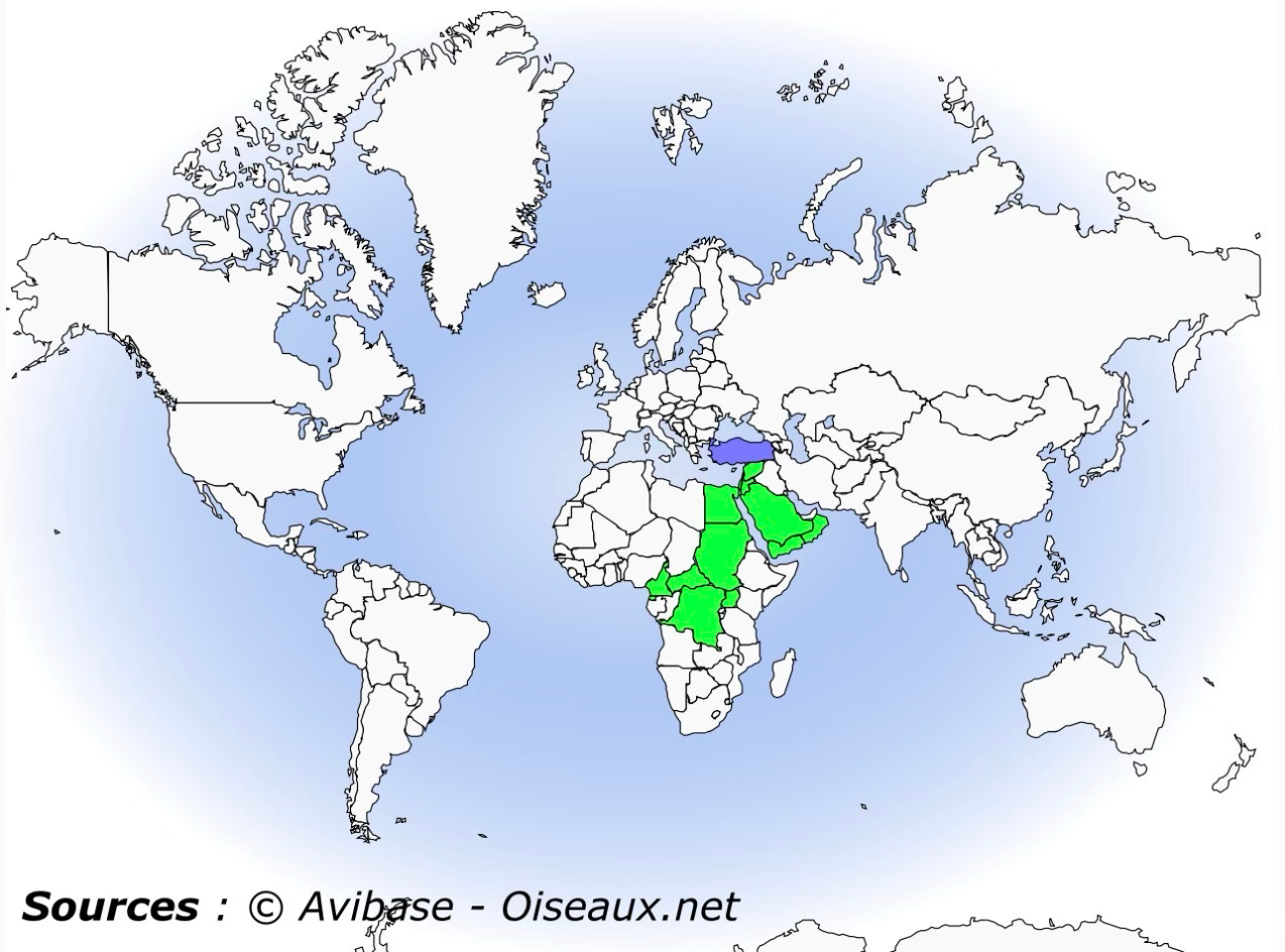 IMG_9578.heic IMG_9578.heic