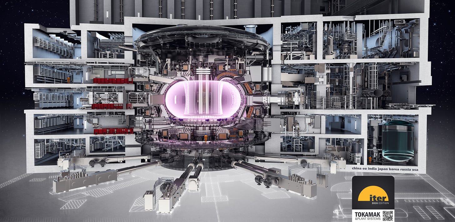 https://www.iter.org/doc/www/content/com/Lists/WebText_2014/Attachments/273/tkmandplant_2016_72dpi.jpg