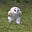owltrousers's avatar