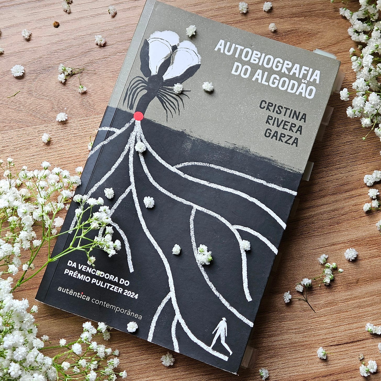 Livro "Autobiografia do algodão", de Cristina Rivera Garza.