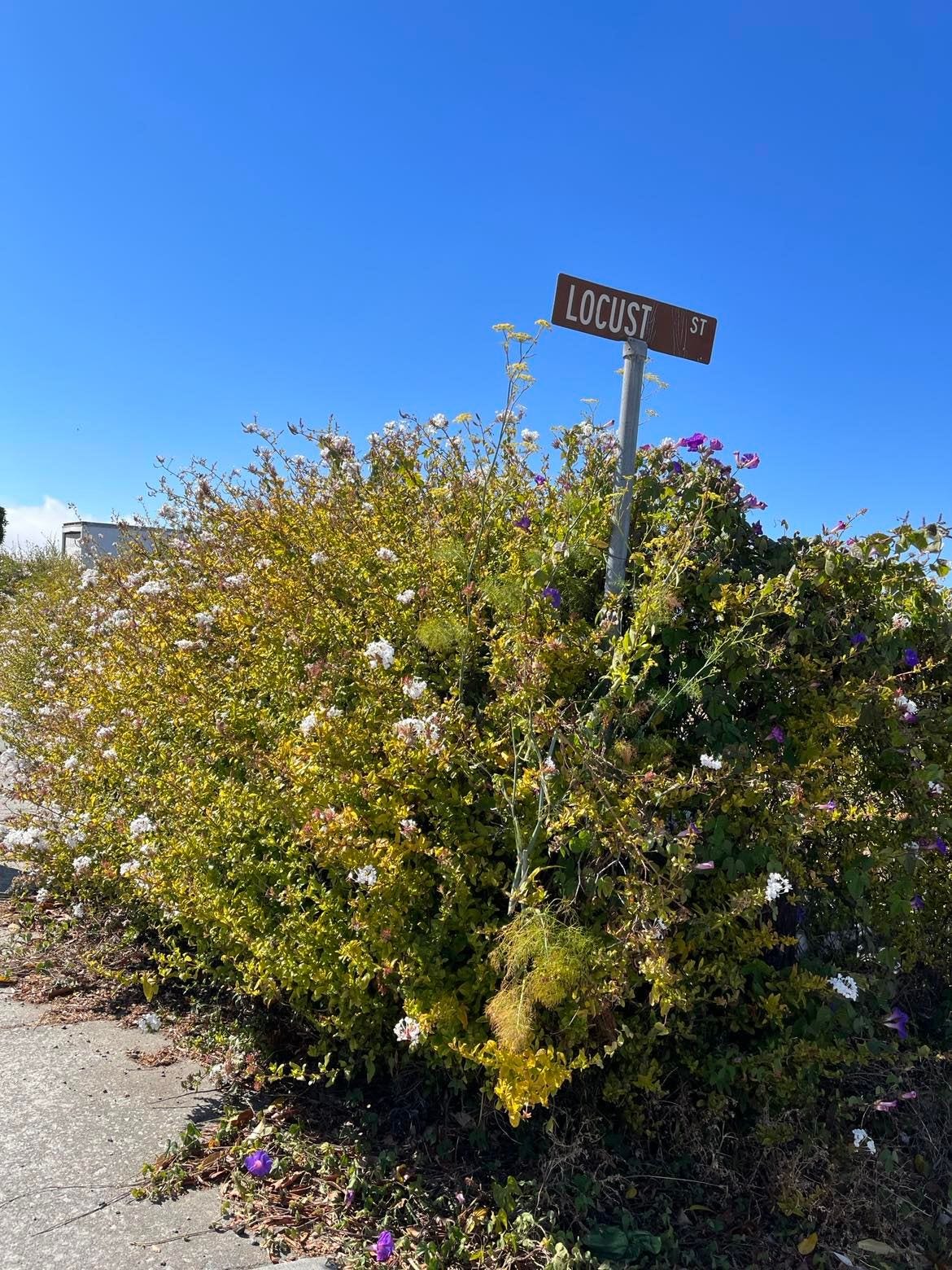 No description available.