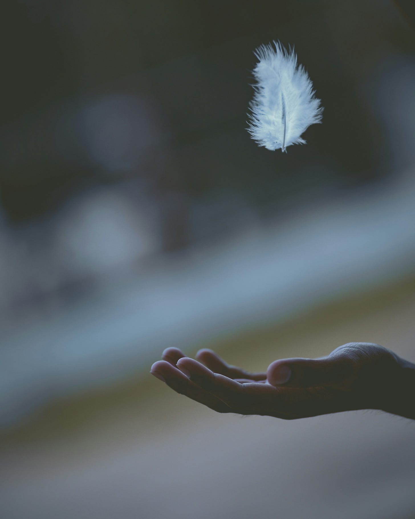 A delicate white feather floats above an outstretched hand in soft focus, evoking gentleness, surrender, and care; photo by Javardh on Unsplash.