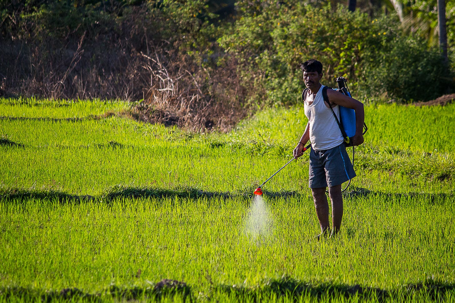 An Indian farmer in his field - PixaHive