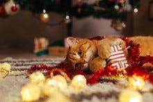 Cat and dog sitting among decorations under a Christmas tree. 