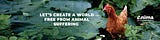 Animal Welfare Alignment Newsletter