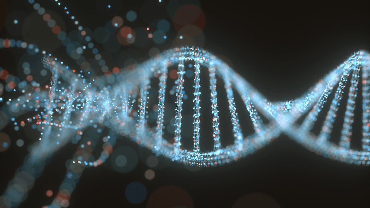 B Vitamins for DNA Methylation to Decrease Epigenetic Age | Thrivous® B Vitamins for DNA Methylation to Decrease Epigenetic Age | Thrivous®