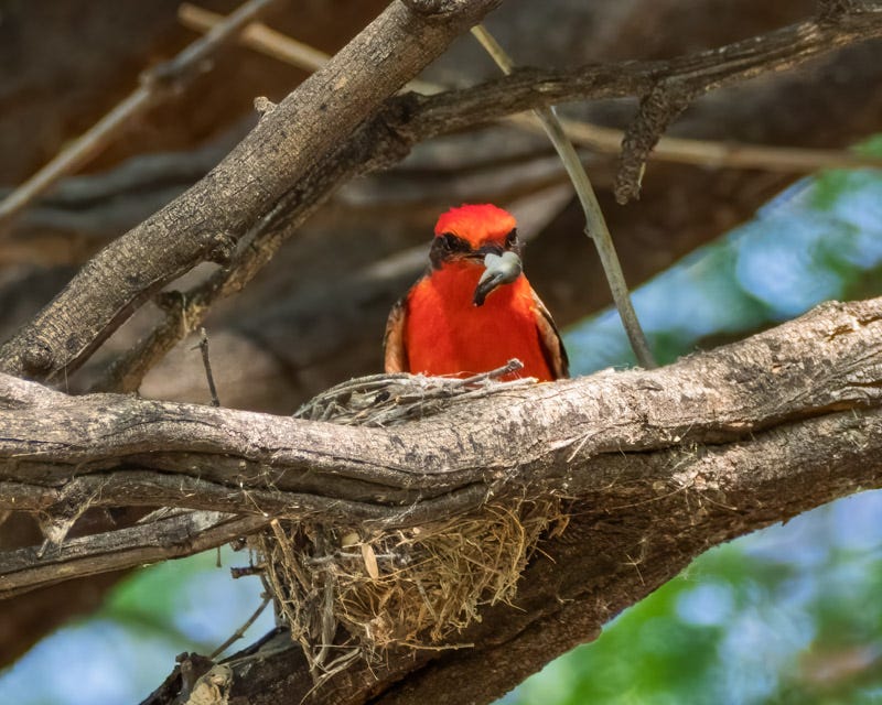 20260330-Sweetwater-156-Edit.jpg 20260330-Sweetwater-156-Edit.jpg