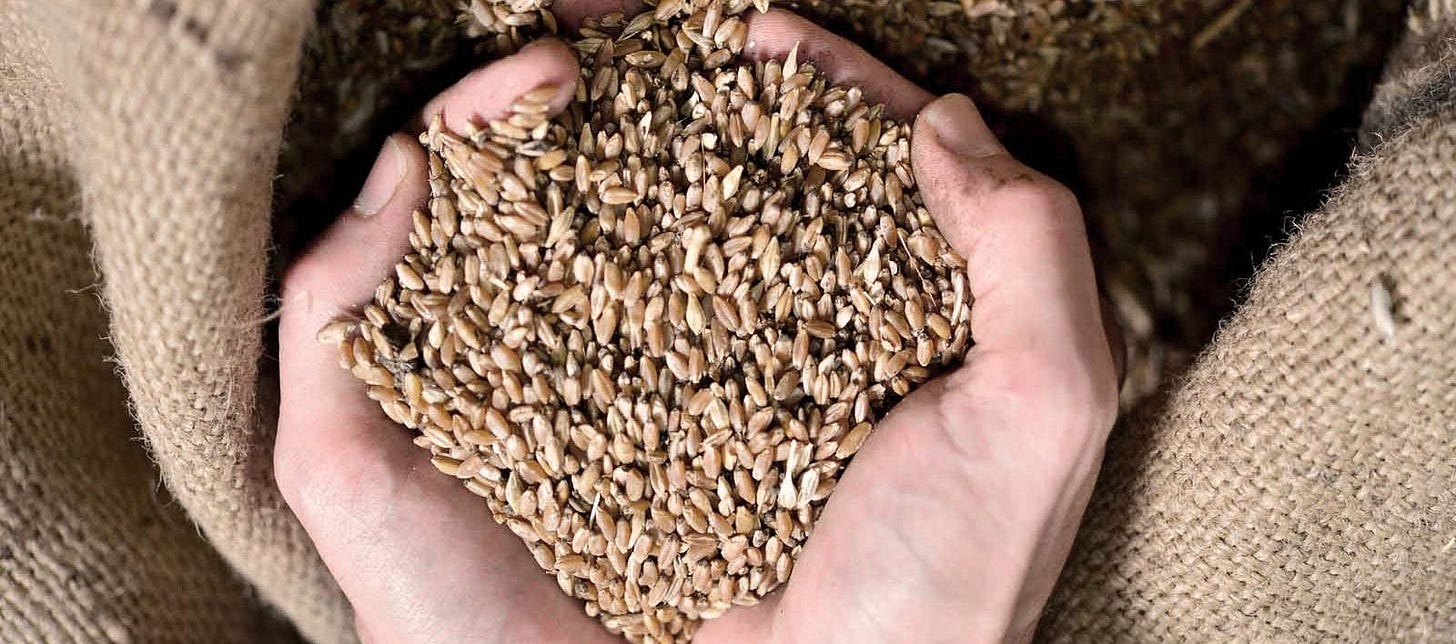 Benefici del pane da grani antichi - Antico Molino Rosso farine biologiche