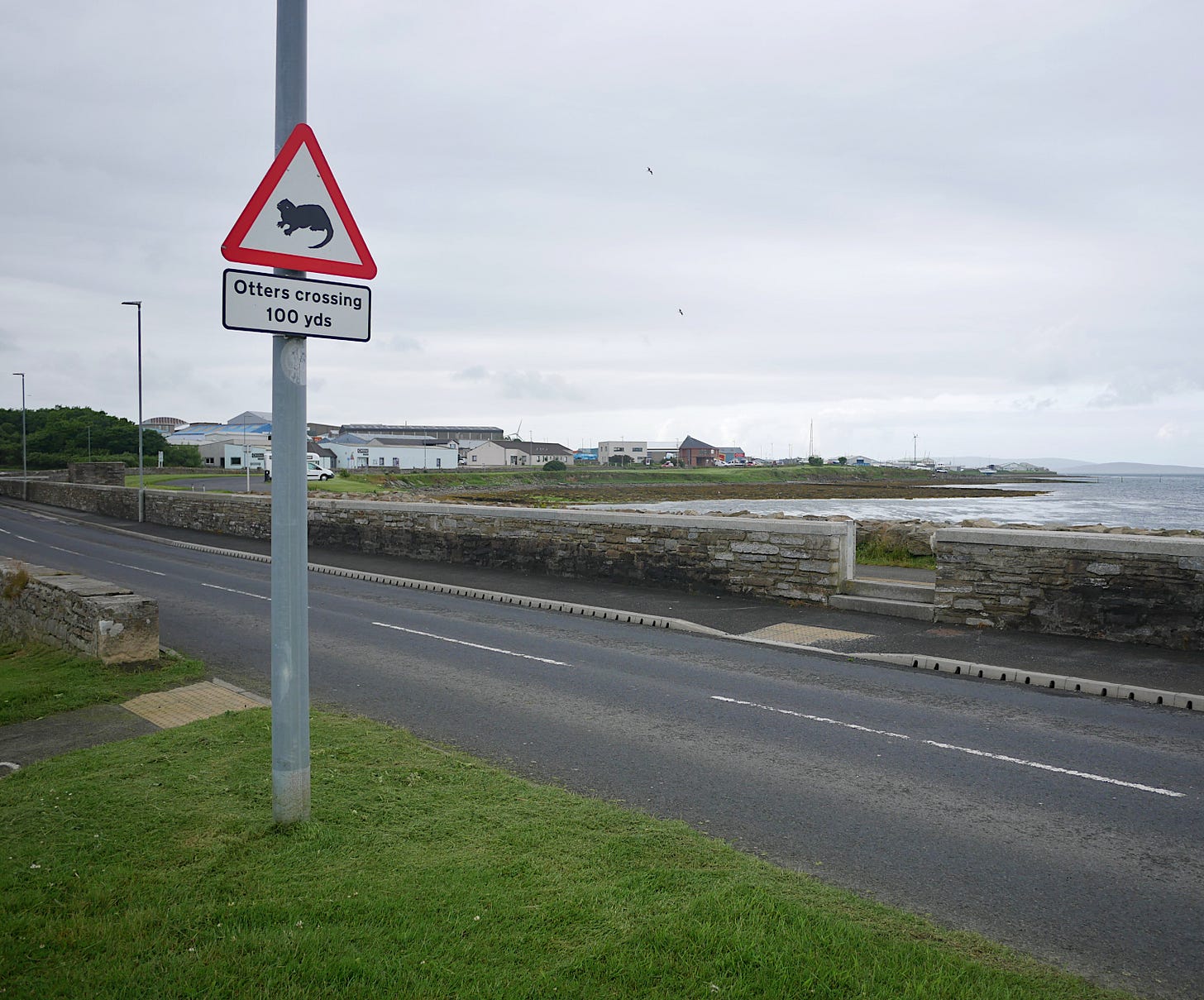 A traffic sign: Otters crossing, 100 yds A traffic sign: Otters crossing, 100 yds