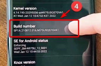 Tap on the Build Number 8 times