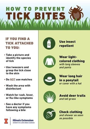 Small bug, big risk: Protect yourself from ticks | Perspectives | farmweeknow.com Small bug, big risk: Protect yourself from ticks | Perspectives | farmweeknow.com