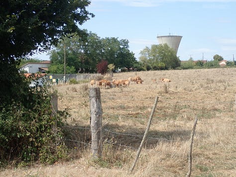 Some pictures of the French countryside 