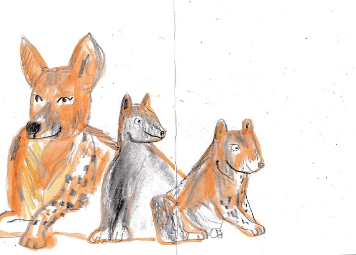 animal drawings by beth spencer