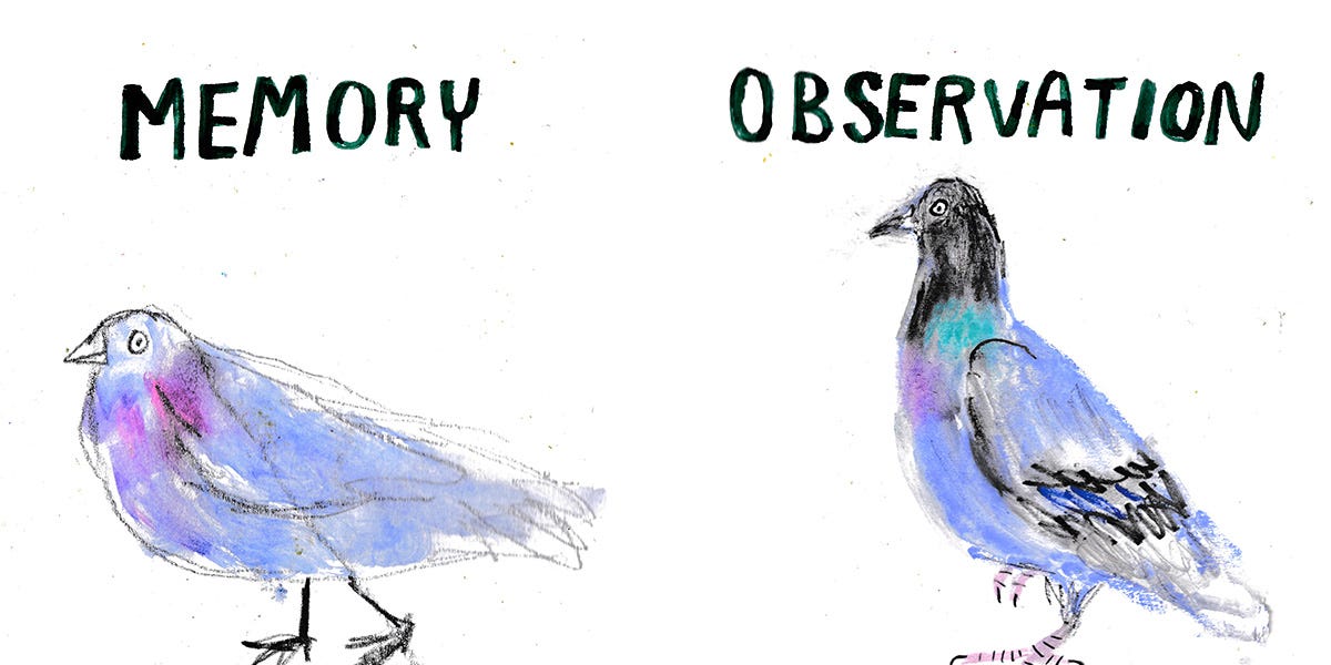Memory Drawing vs. Observational Drawing - by Beth Spencer