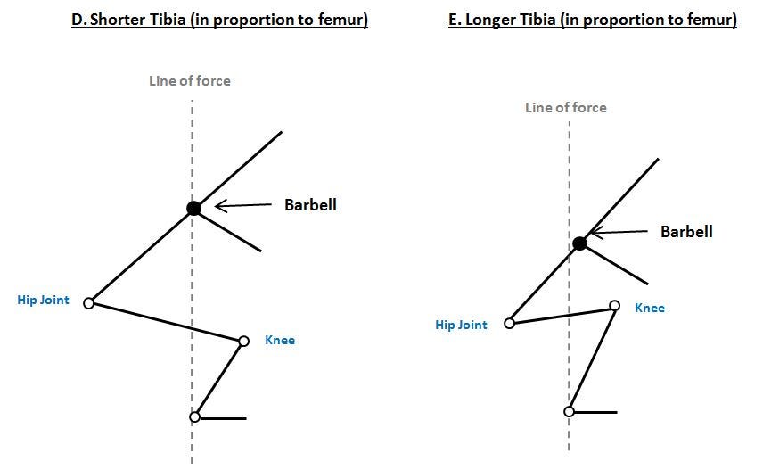 What Tall People Need To Understand About Squats What Tall People Need To Understand About Squats
