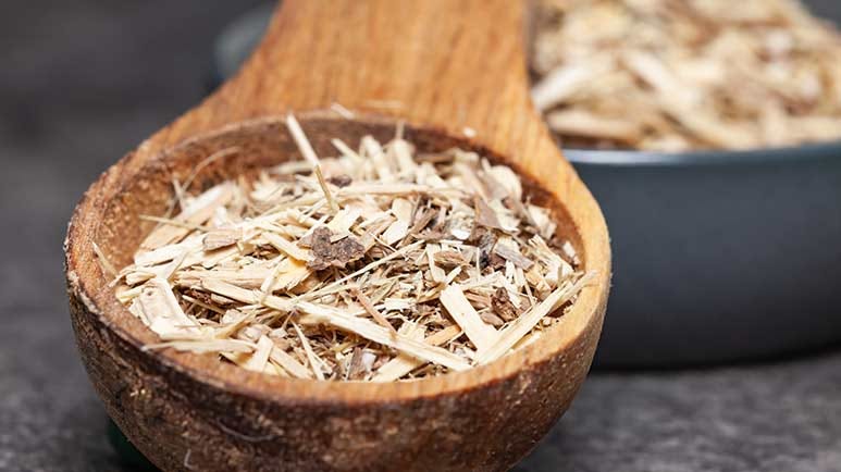 siberian ginseng benefits