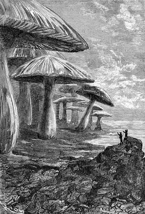 Illustration drawn by Edouard Riou in 1864 from the original edition of "Journey to the Center of the Earth" by the famous Jules Verne. Illustration drawn by Edouard Riou in 1864 from the original edition of "Journey to the Center of the Earth" by the famous Jules Verne.