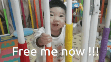 Free Me GIFs | Tenor