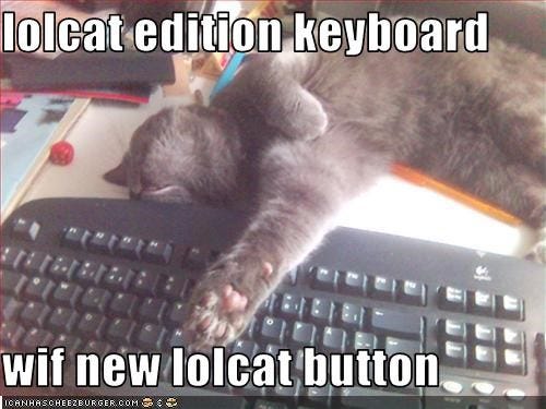 Cheezburger Image 2177190656