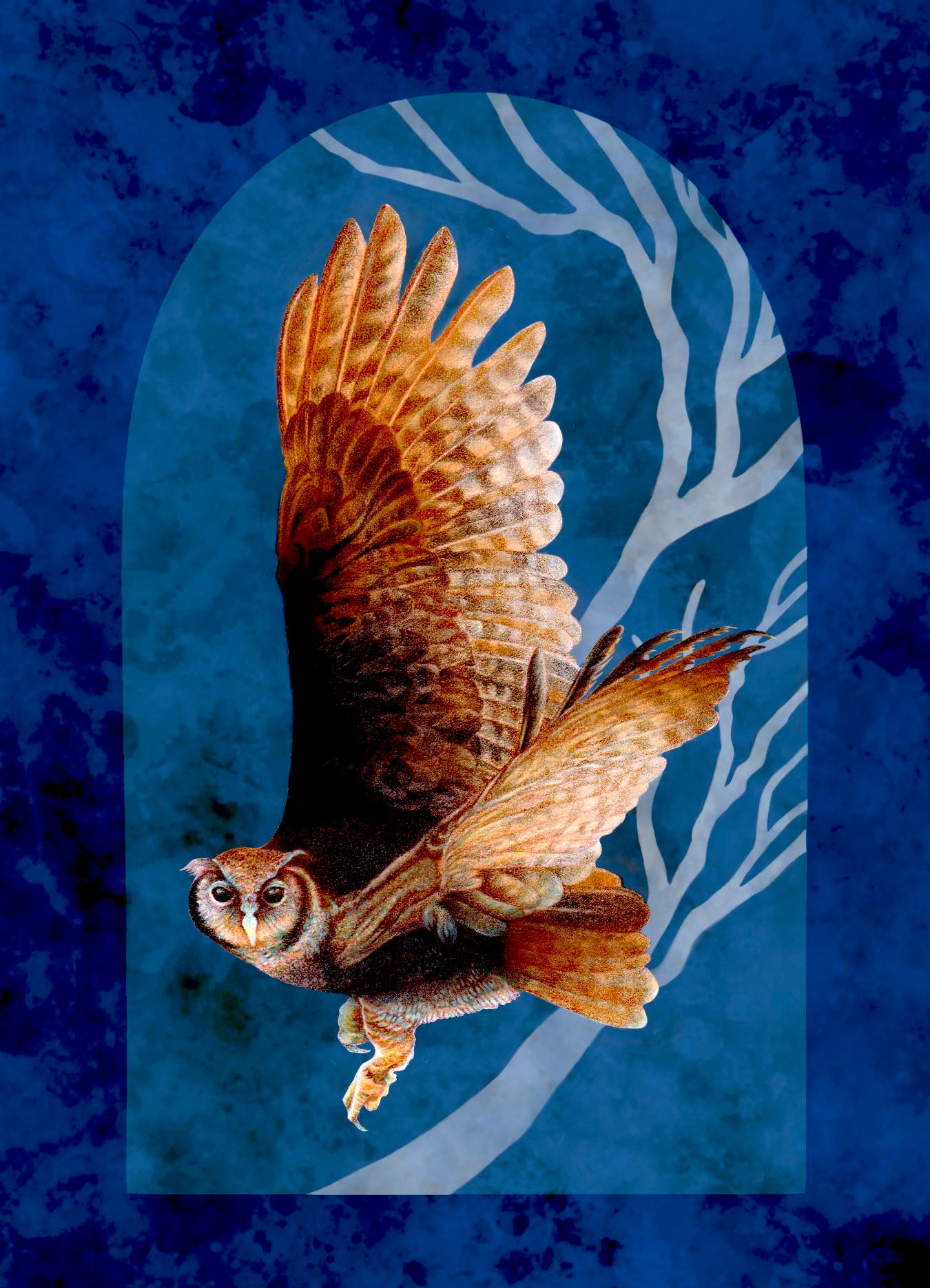 Owl, the Animal Companion from the Sacred Wheel Oracle, a work-in-progress. I finished this piece last week. Artwork by JPC.