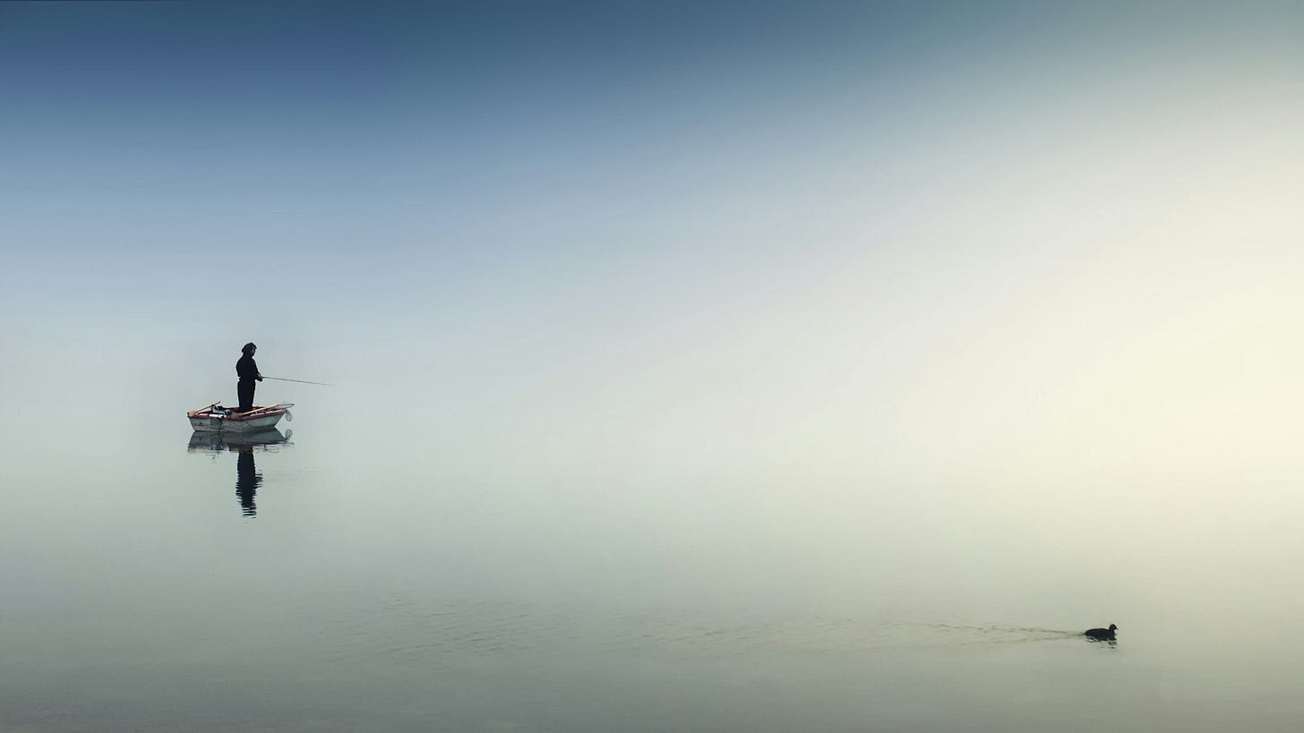 The Quiet Life